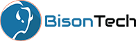 BisonTech Consulting